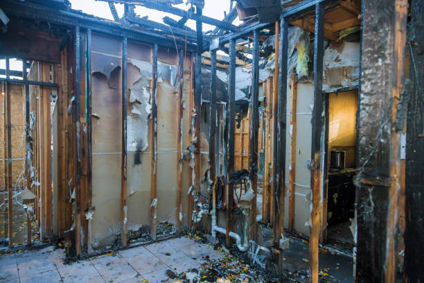 Professional Soot Cleanup technician working in Alexandria, MN
